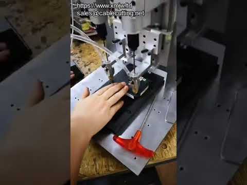 Automatic Screwdriver Machine With Auto Feeding Screw Tightening Machine With Screw Auto Feeder