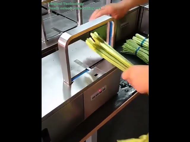 【自動結束機対応】カラフルOPPバンド素材｜熱シール式結束テープ 野菜結束に最適