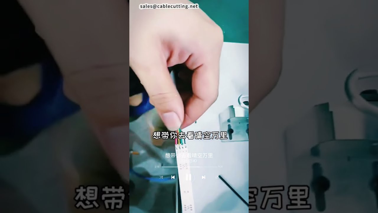 LEDストリップはんだ付け機シリーズ 品質と効率の自動はんだ付け機 #工場 #機械 #DIY
