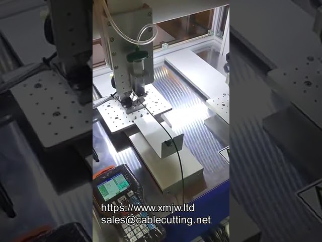 3軸・4軸選択可能なデスクトップAB接着剤ディスペンシングマシン（カスタム対応）